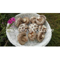 Dried Vegetable Without Stem (white flower mushroom)